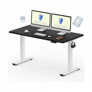 FlexiSpot Electric Standing Desk