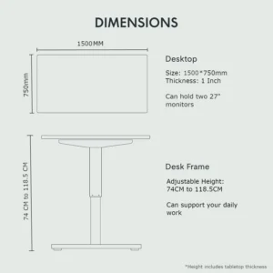 FlexiSpot Electric Standing Desk