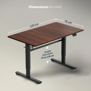 JIN OFFICE Octave Height Adjustable Desk Electric